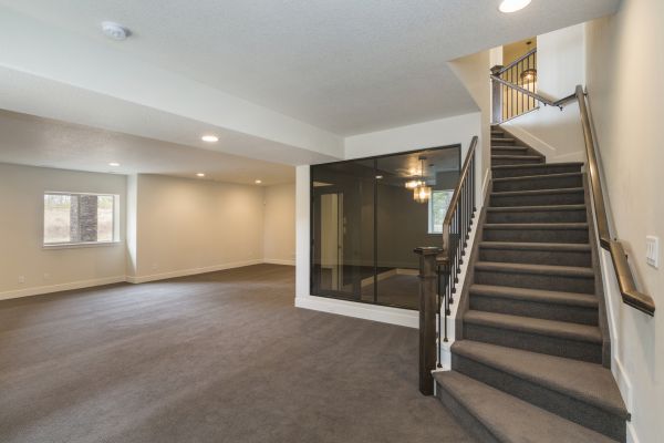 Basement Restoration Service in Whittier