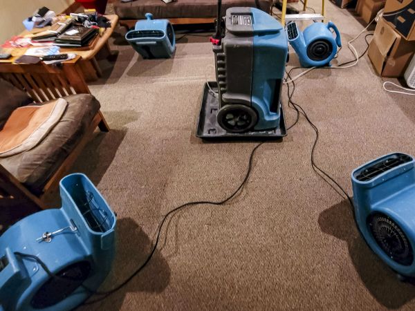 Flood Damage Recovery in Whittier