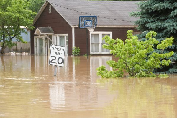 Storm Restoration Service in Whittier