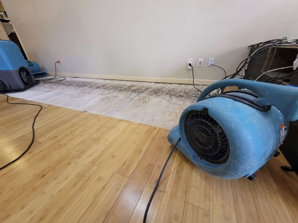 Water Damage Mitigation in Whittier