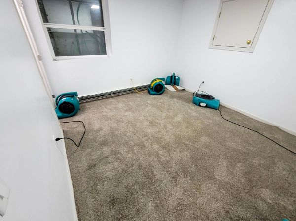 Flood Restoration Service in Whittier