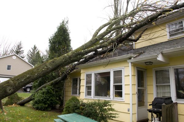 Hurricane Damage Repair in Whittier