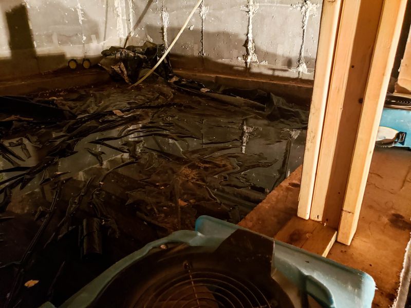 Water Damage Cleanup Team
